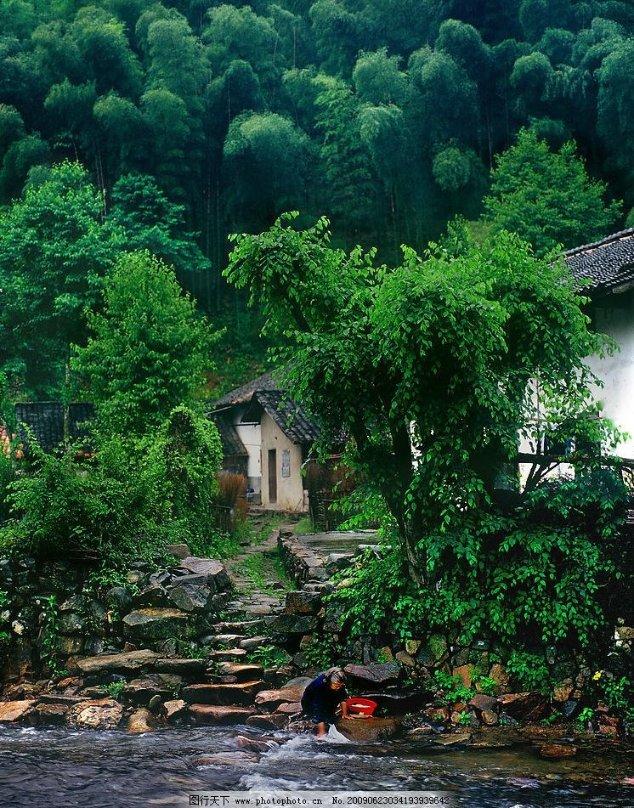 动物帮帮忙保卫家园