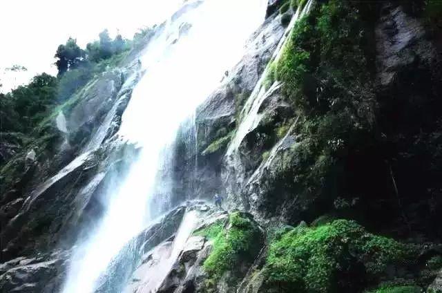 春雨直播app