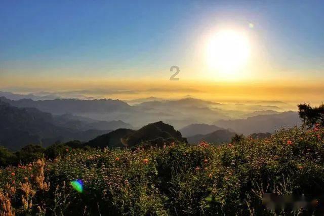 婴儿车不慎滑入水中,河道保洁员30秒火速救人