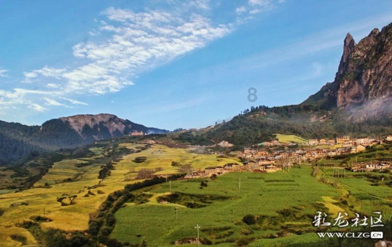 这钱赚得真窝囊!郑建辉怒推丁伟,太伤自尊,难怪巩大师不出山