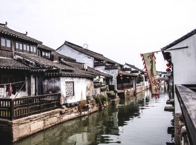 动物帮帮忙保卫家园