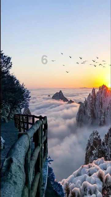 化疗后吃什么饭菜好